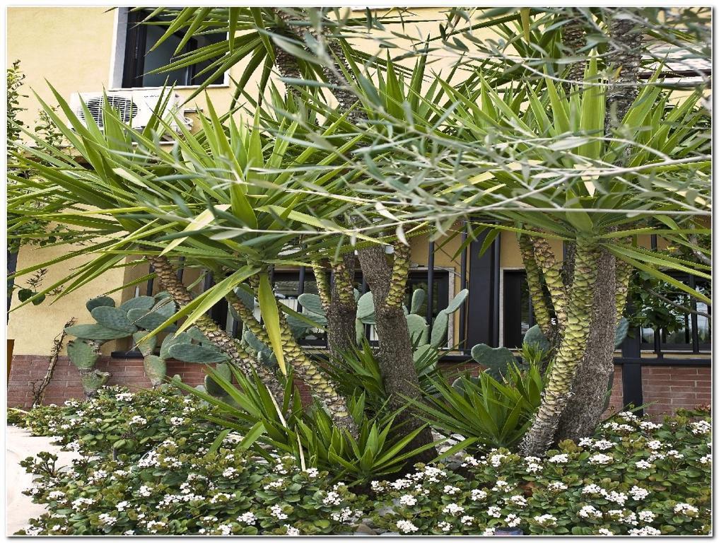 Hotel Veronese Cerignola Exterior foto